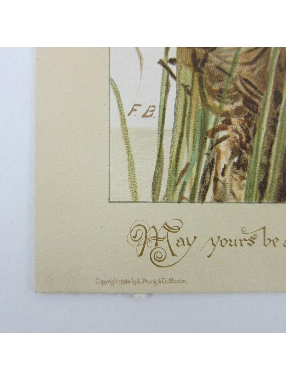Victorian Easter Greeting Card Birds Nest in Cattails Yellow Green Antique 1884